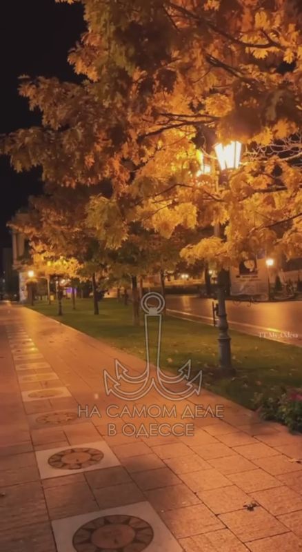 Одесса-мама, мирных снов. — Изя, ты бы меня хотя бы поцеловал