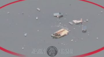  FPV  .   ,   :         FPV-