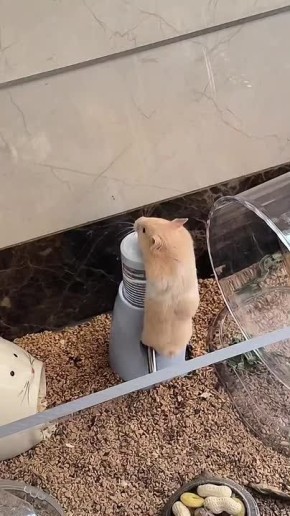 Это наш начальник смотрит по камерам, как мы пытаемся пораньше уйти с работы