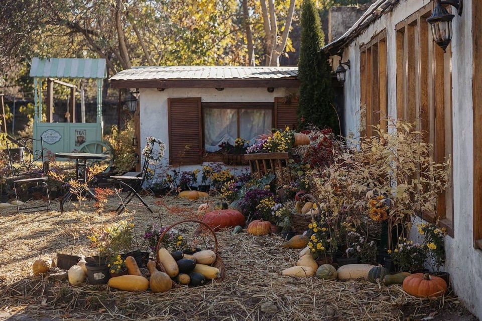 Через шкаф ботанического сада в Одессе можно попасть в Нарнию лимонарий