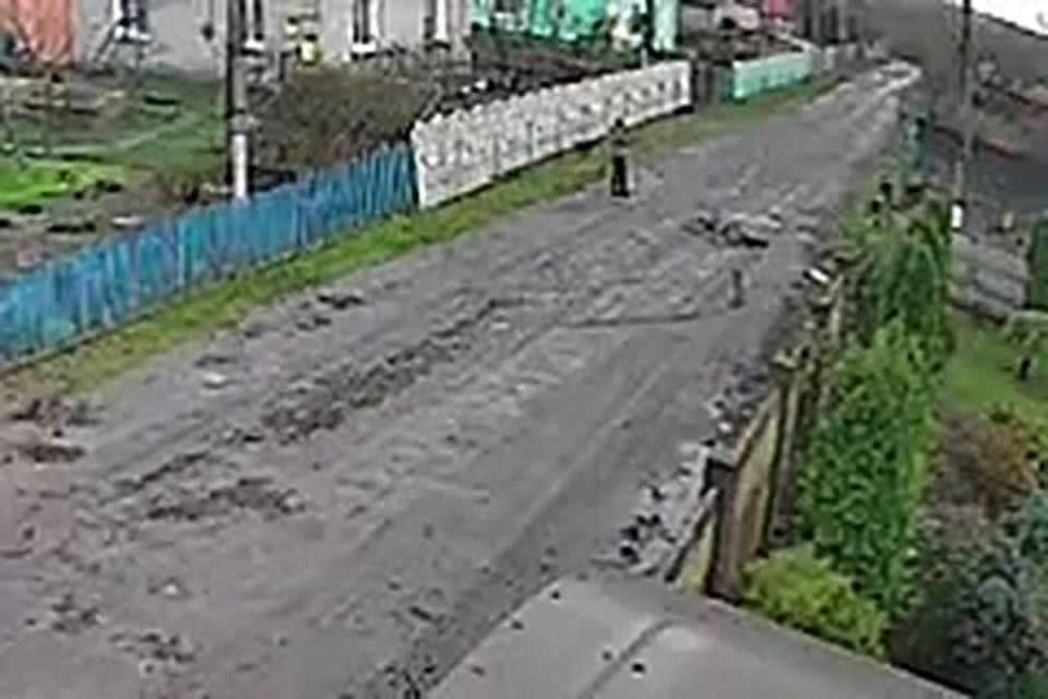 Почему в ним стреляют