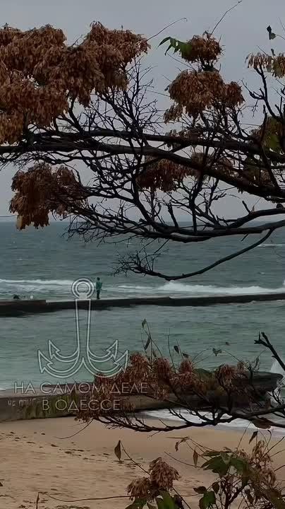 Одесса-мама, мирных снов. На приеме у врача