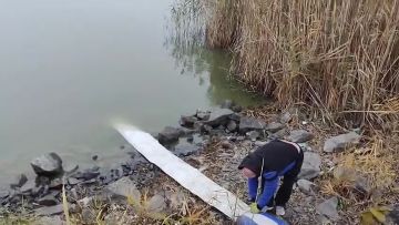 В Одесской области в озеро выпустили 374 тысячи рыбёшек