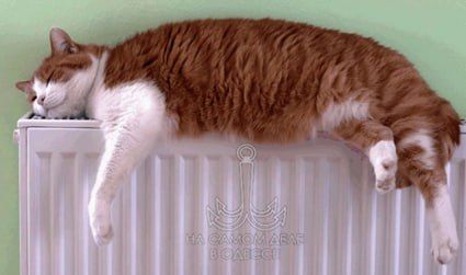 ������������ ������ 13 ������ 2025 ���� � ������ � ������� �����������: