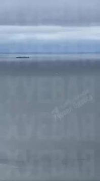 «Герберы» тоже могут. На днях в чатах Одессы делились наблюдением о том, что российский дрон целый час абсолютно спокойно нарезал круги над городом