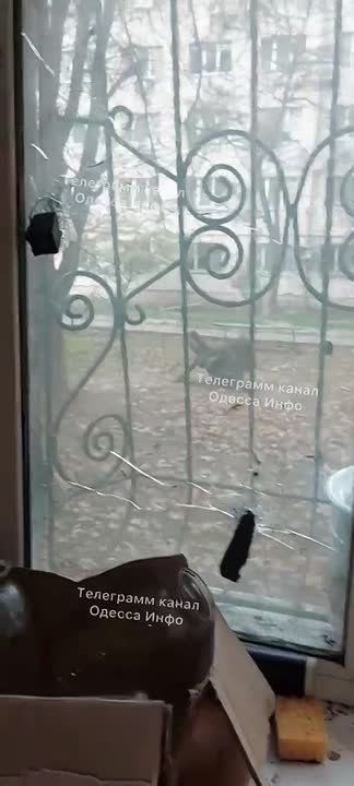 Одесситка показала «квартиру-апокалипсис»