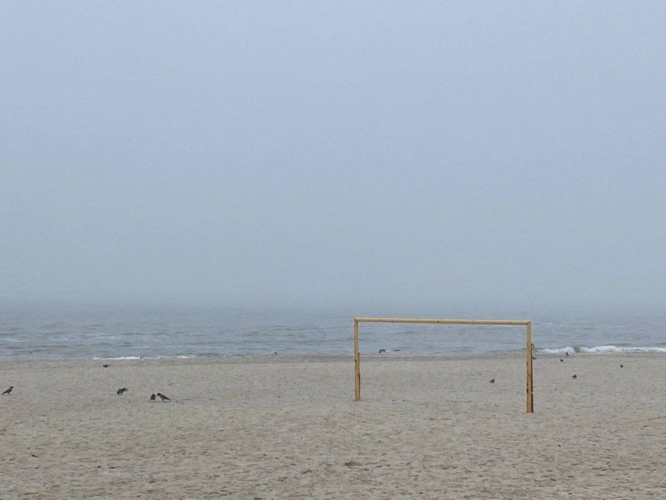 ������ ������ ������ �����