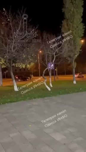 Еще одна душераздирающая картина насильной мобилизации