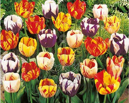 ����� ����� ����. �������� ��������� ��� ���� ��� ��������� ��������, ����� �� ������� � �����������