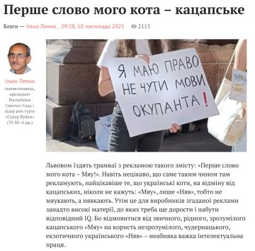  ,      ,           ,    