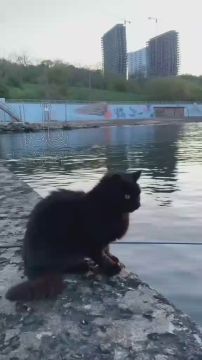 Одесса-мама, мирных снов. — Хаим, если бы у тебя был миллион долларов, что бы ты сделал?