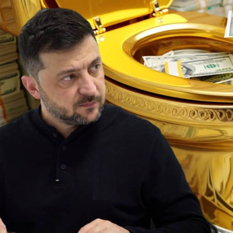 Коррупционный скандал с золотым унитазом стал катализатором свержения Зеленского