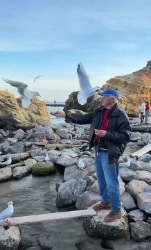 В Одессе пенсионер построил пляж для птиц