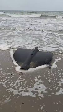 Типичный "улов" в последнее время