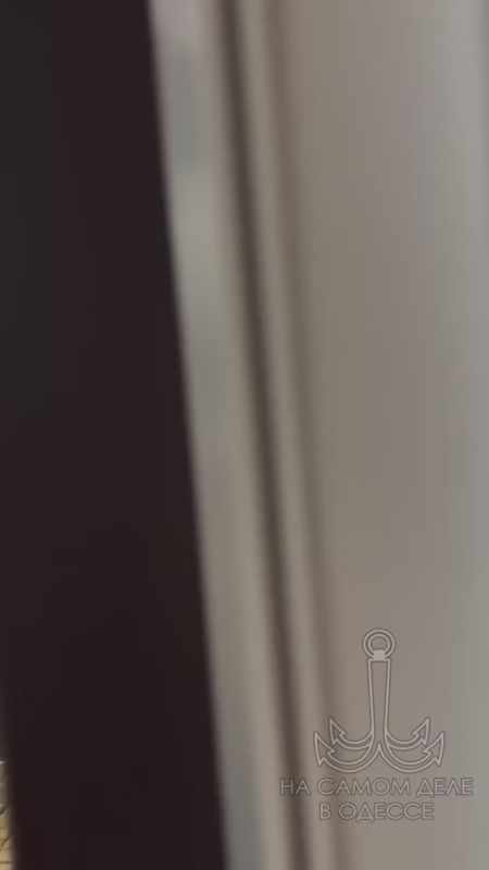 Когда собаки умнее людей. Обстановка на Радиорынке во время воздушной тревоги