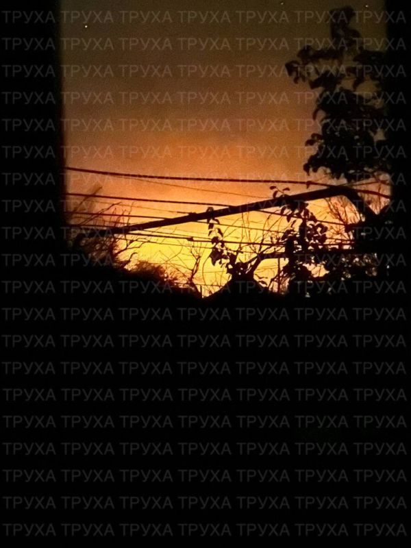 ��� ����� �� �������. ���� ������ ������������