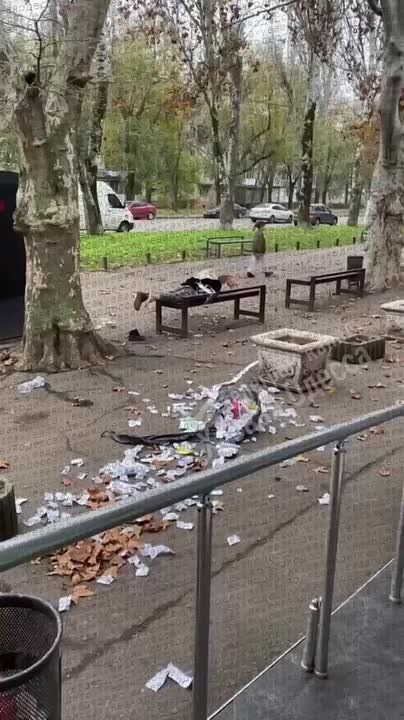 В Одессе женщину примотали скотчем к лавке за то, что она разбрасывала мусор