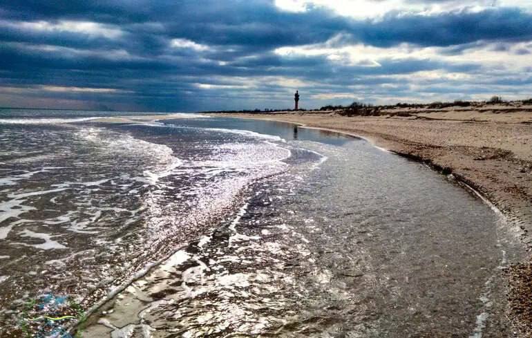 В Черном море массово гибнут дельфины из-за военного конфликта Украины и России В Черном море массово гибнут дельфины из-за военного конфликта Украины и России