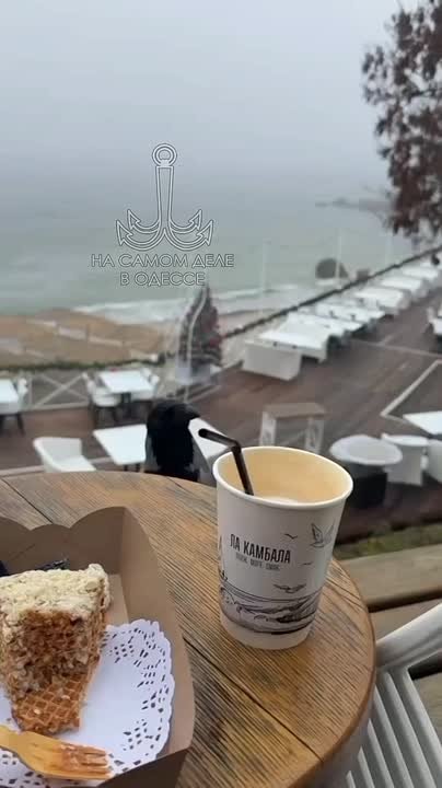 Таки да, Одесса-мама проснулась