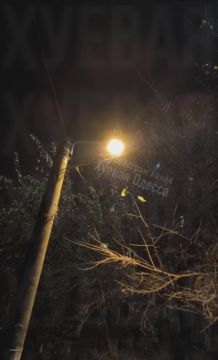 К ночи в Одессе пошел снег