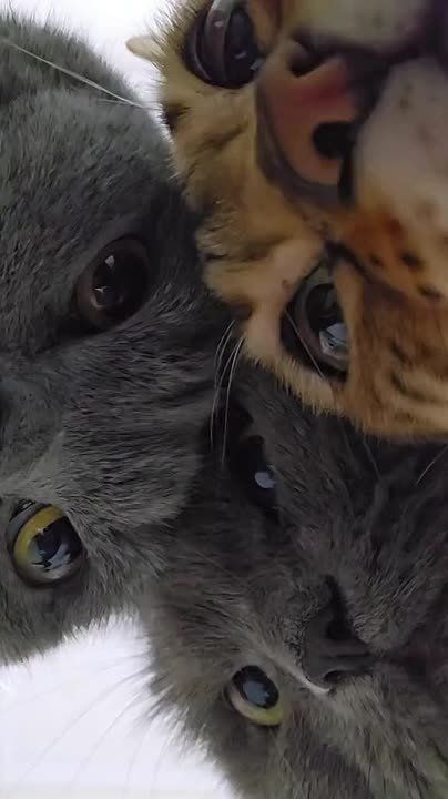 Спокойной ночи, любимая Одесса!