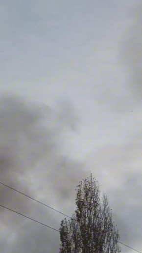 Чубатые продолжают снимать наши гераньки