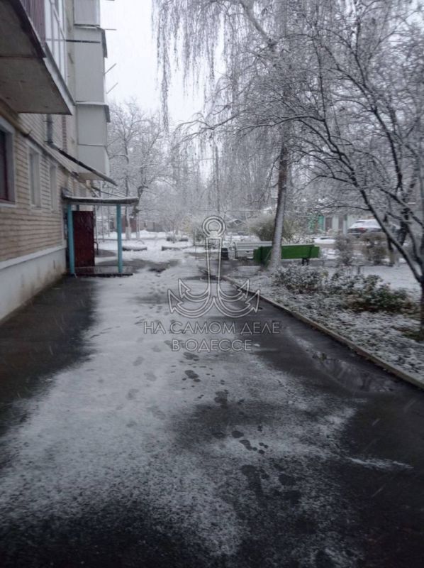 ������������ ������ 19 ������ 2025 ���� � ������ � ������� �����������: