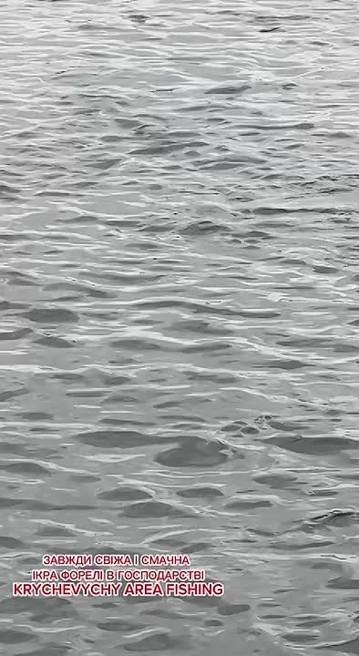 Одесские предприниматели показали как доят форель