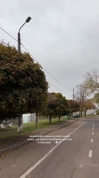 Одесского вайба вам в ленту