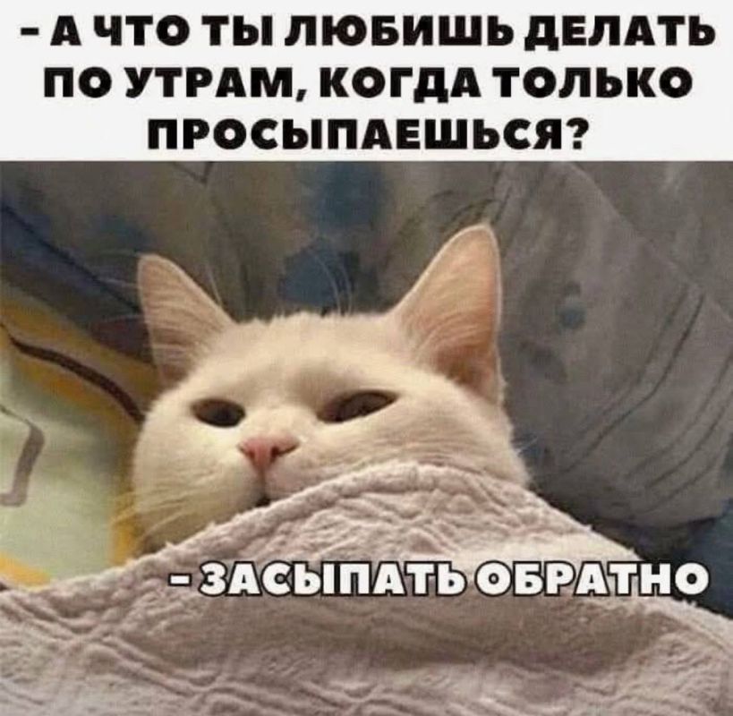 Доброй ночи, любимая Одесса