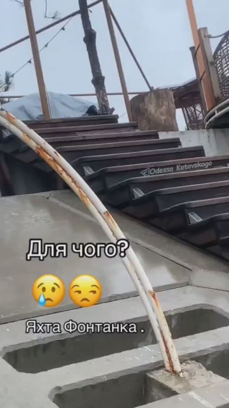 Дети из ружья отстреливают птиц в Одессе