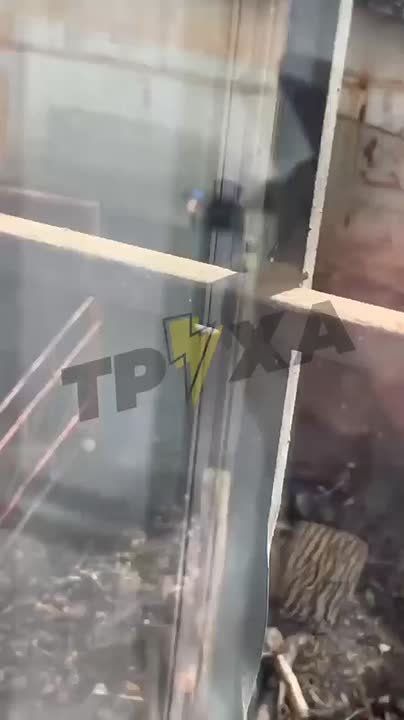 Даже во время воздушной тревоги в Одессе бизнес не простаивает