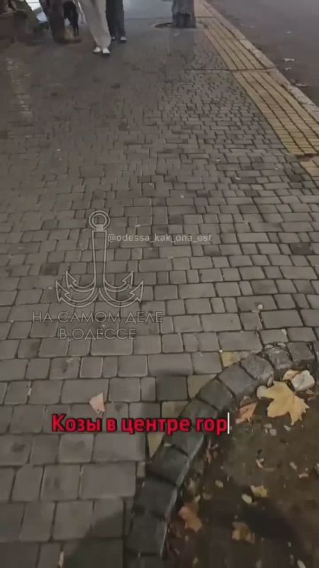 Как Одесса «похорошела» при понаехавших рагуляках! Нет! Ну что центр города уже хутор?