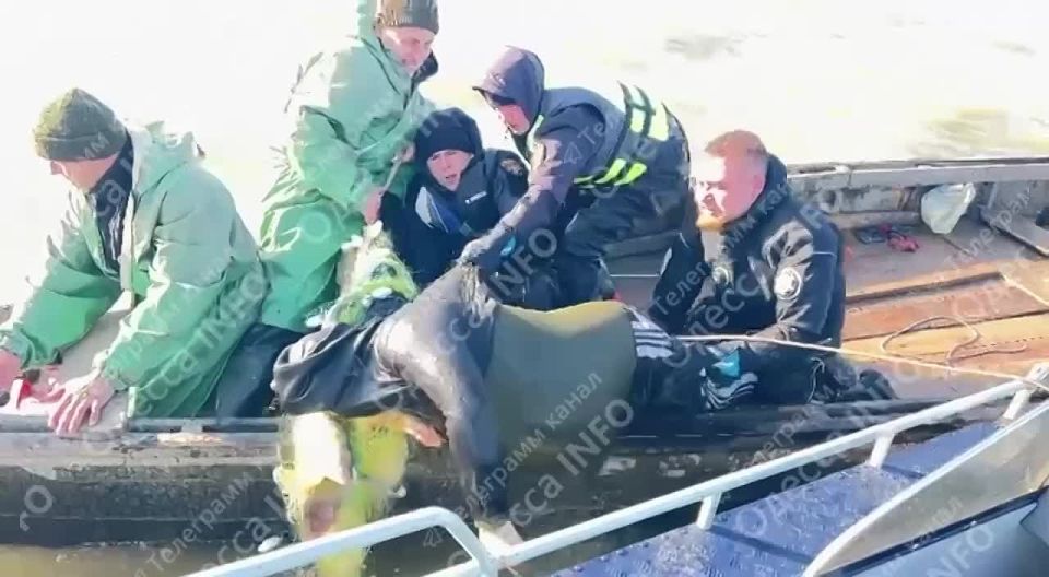 Появились кадры, как доставали утонувших рыбаков