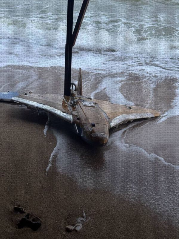 �������� ���� �������� ����, �� �� ������ ����������� �������� � ������