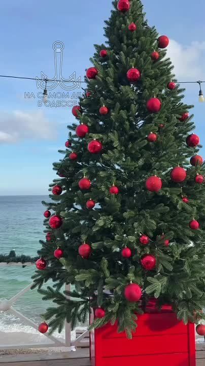 Таки да, Одесса-мама проснулась