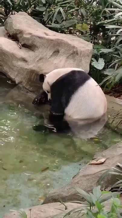 Милое видео на ночь для дорогих подписчиков