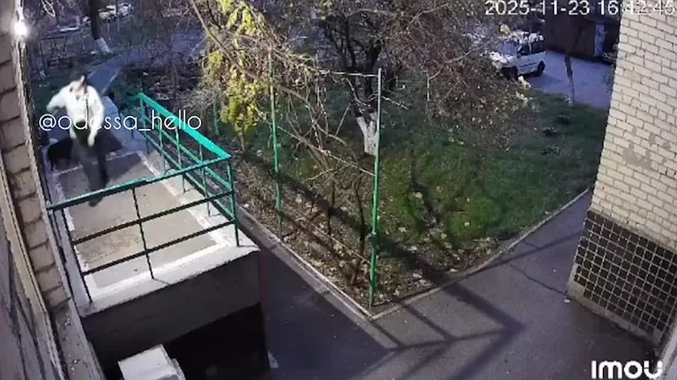 Очередной пример насильственной могилизации на Украине — ТЦКшники поймали одессита на улице во время прогулки с собакой