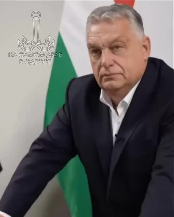 Орбан — торт! Как и обычно