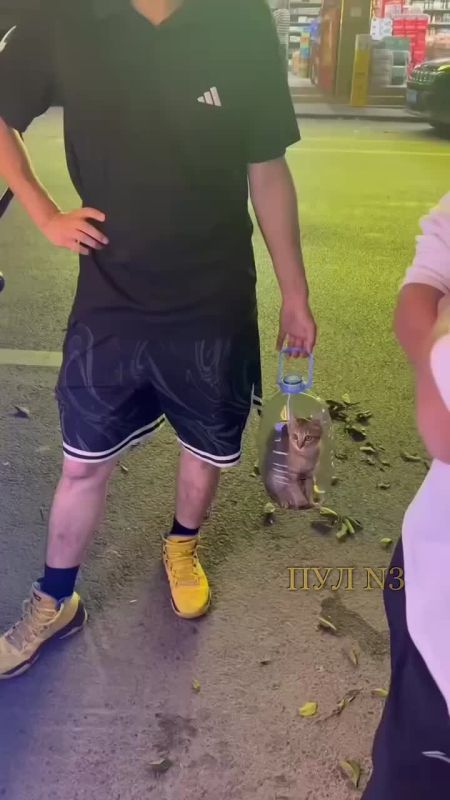 Отвлечёмся и развлечёмся перед сном