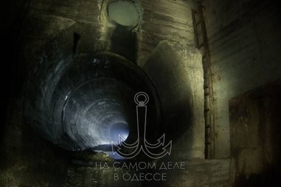 �������� �������� ���� ������������ �������