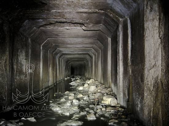 �������� �������� ���� ������������ �������