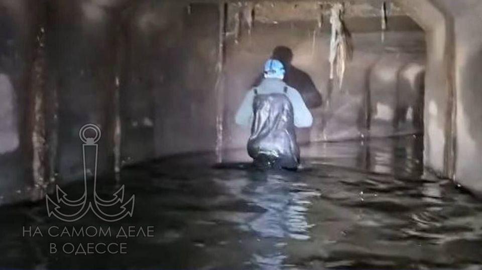 �������� �������� ���� ������������ �������