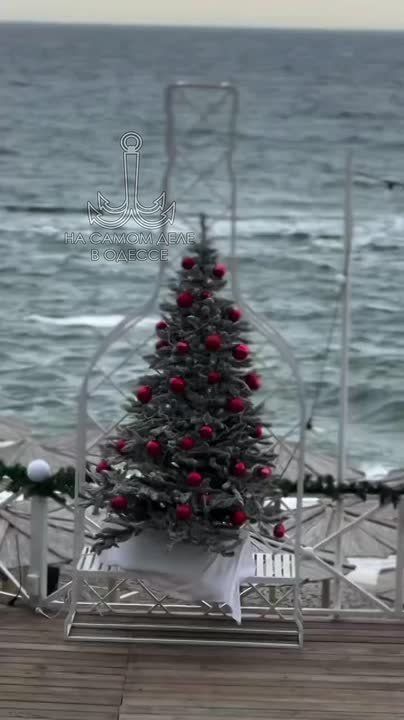 Одесса-мама, мирных снов. Ицик кричит на Розу: