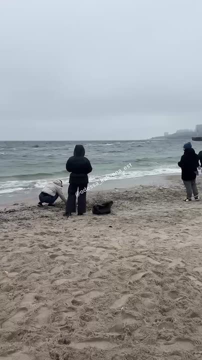 Сегодня на Ланжероне провели генеральную уборку