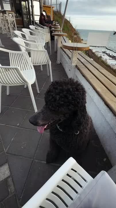 Таки да, Одесса-мама проснулась