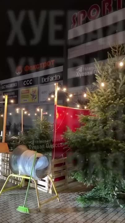 В Одессе уже появились елки на продажу