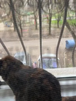 В Одессе на Глушко женщина в неадекватном состоянии царапает чужие машины