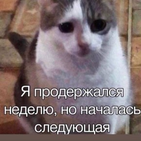 Доброй ночи, Одесса. Котик прав — мы продержались неделю, но началась следующая