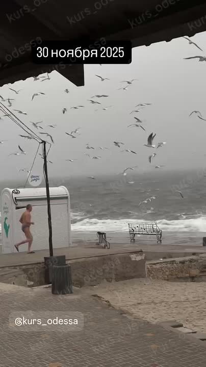 В воскресенье одесситы спешили в последний раз искупаться в осеннем Чёрном море